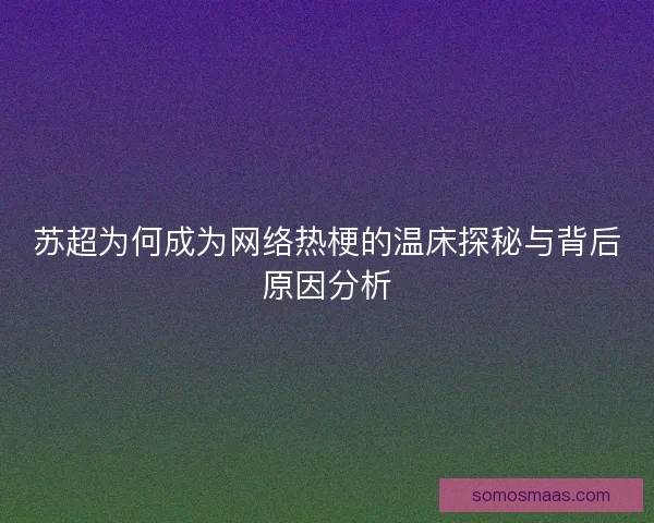 苏超为何成为网络热梗的温床探秘与背后原因分析
